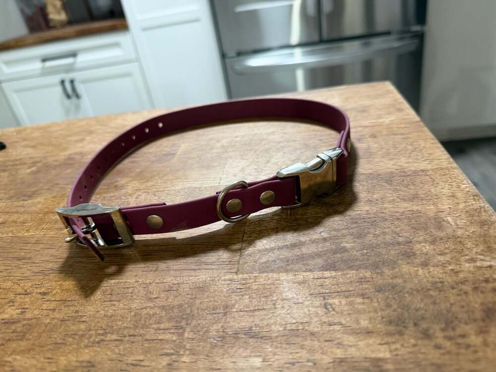 Mini educator Biothane Dog Collar